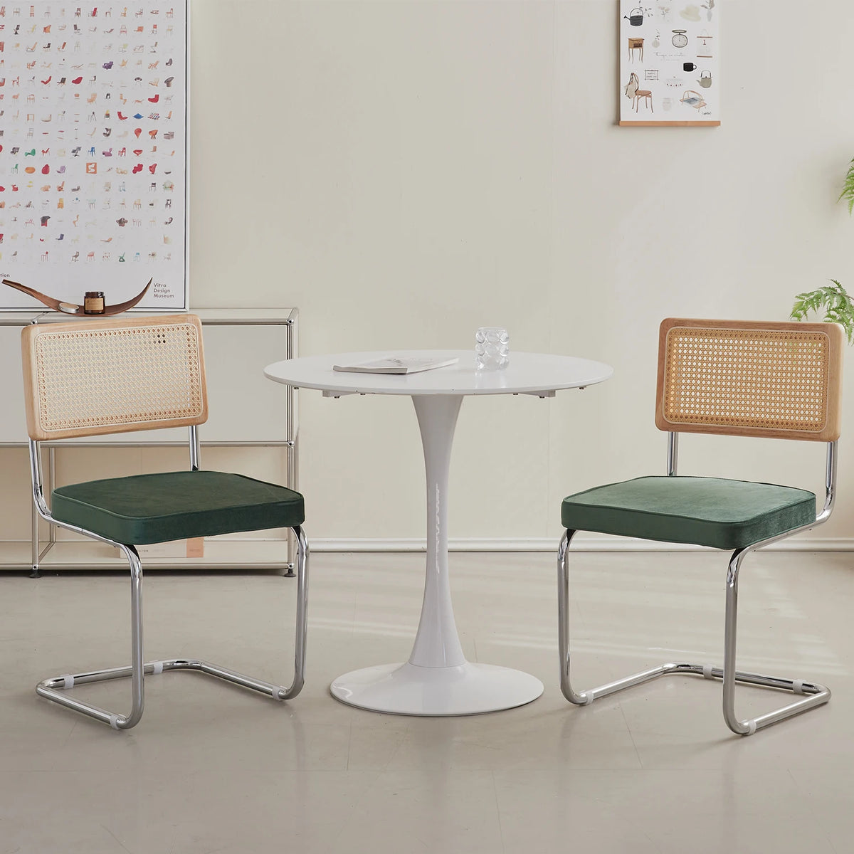 EGOONM Set di 2/4 sedie da pranzo retrò sedia in rattan di plastica casa camera da letto scrivania schienale sgabello arco computer ufficio sedile imbottito
