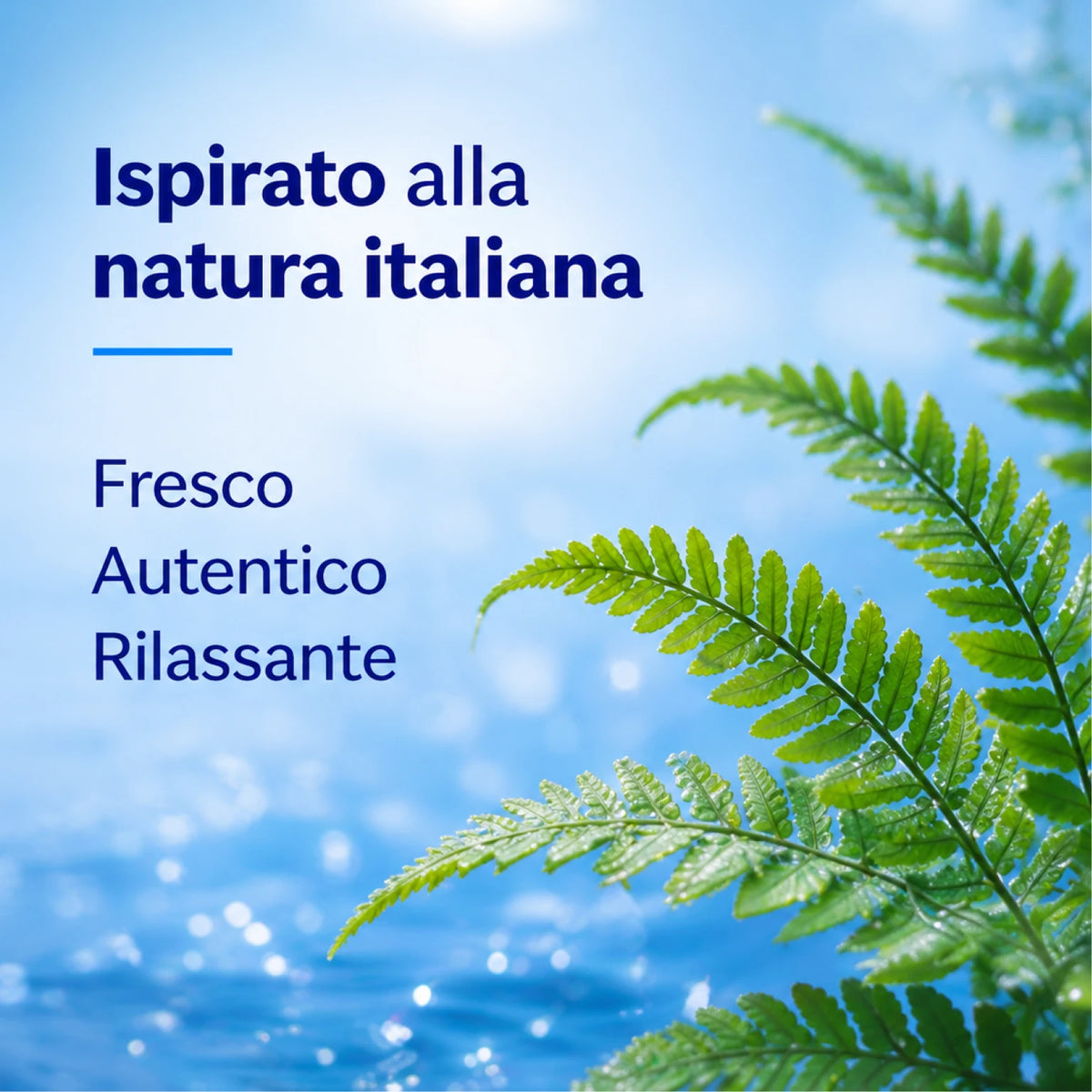 Confezione da 12 Felce Azzurra Doccia Classica 250 ml, bagnodoccia profumato per la detersione quotidiana, 3 L totali