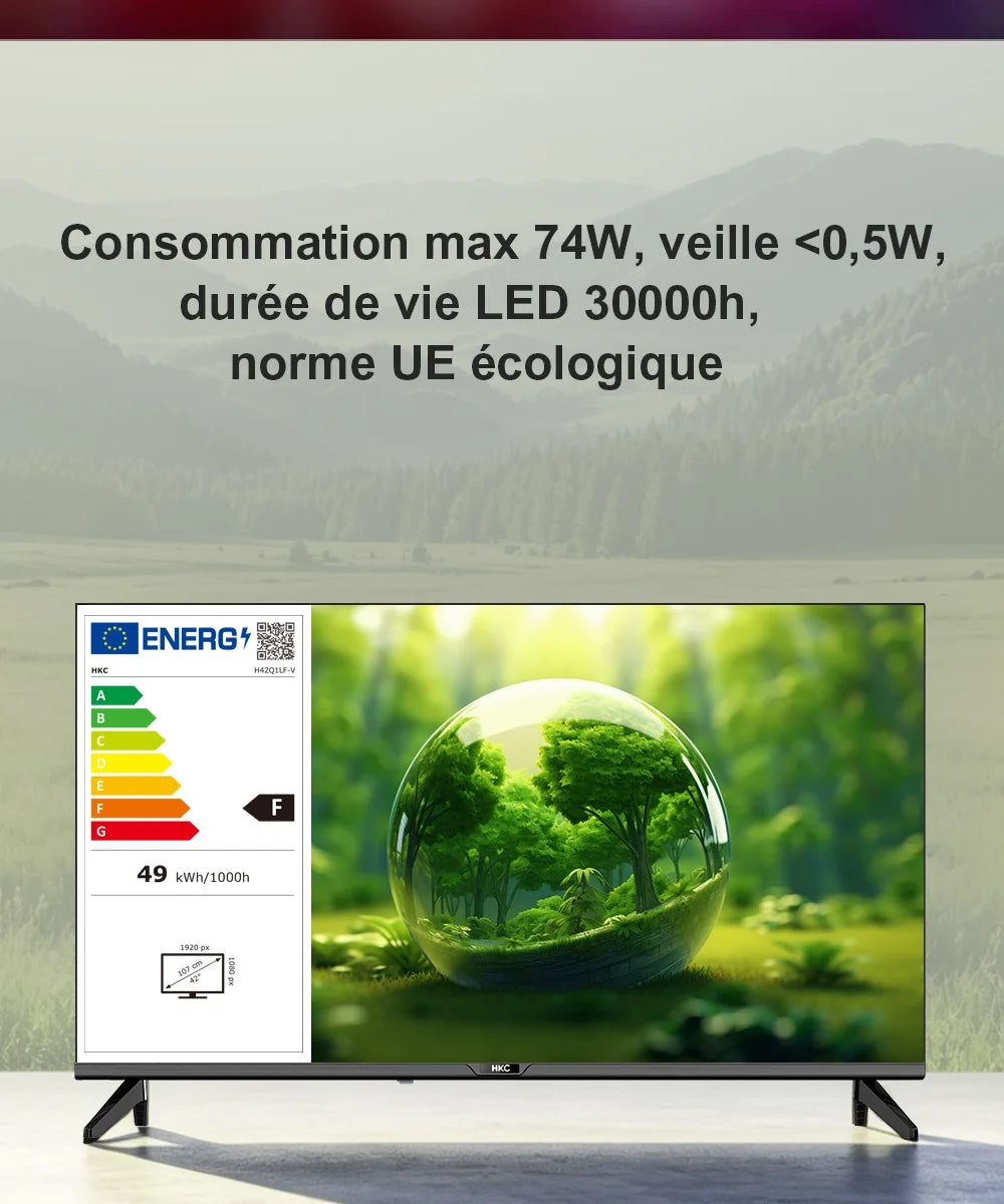 HKC 42Q1L Smart TV FHD da 42 Pollici VIDAA con Pannello Sharp, DVB T2 S2 C Completo, HDR10, Audio Dolby e Porte HDMI, AV, Jack per Cuffie
