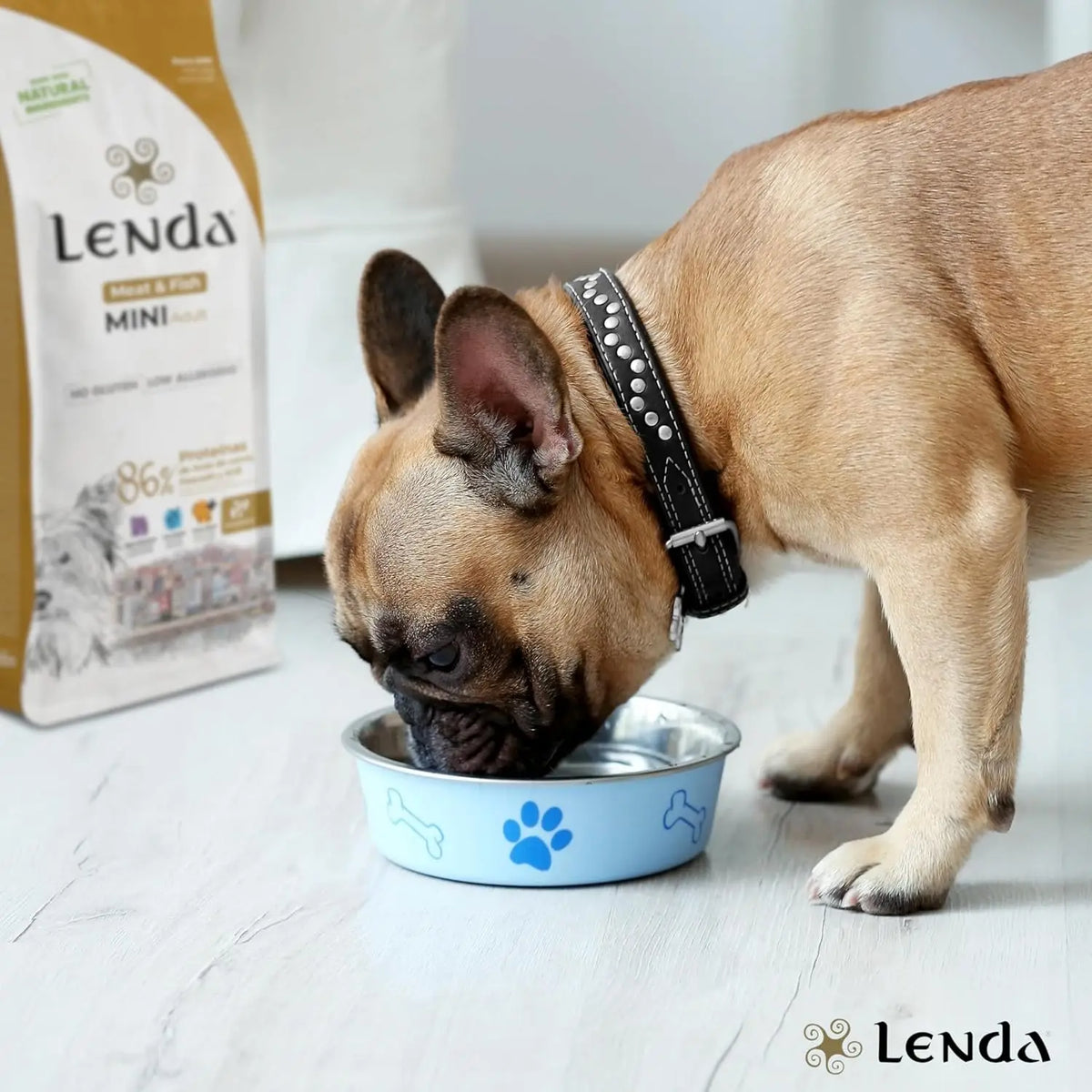 Lenda Mini Meat & Fish - Cibo Naturale per Cani Adulti Ipoallergenico