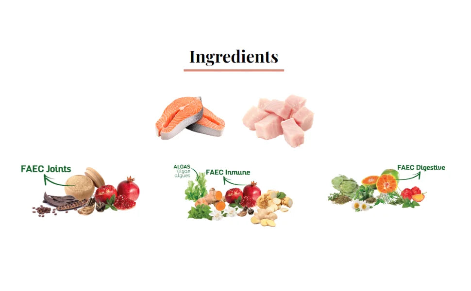 Legend Salmon – Cibo Naturale per Cani – Ricco di Salmone