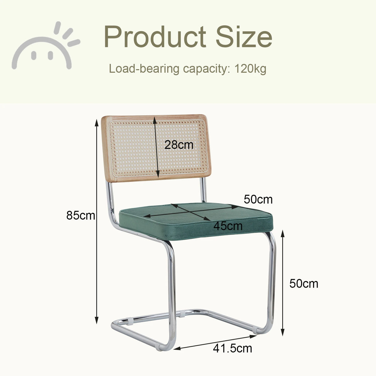 EGOONM Set di 2/4 sedie da pranzo retrò sedia in rattan di plastica casa camera da letto scrivania schienale sgabello arco computer ufficio sedile imbottito