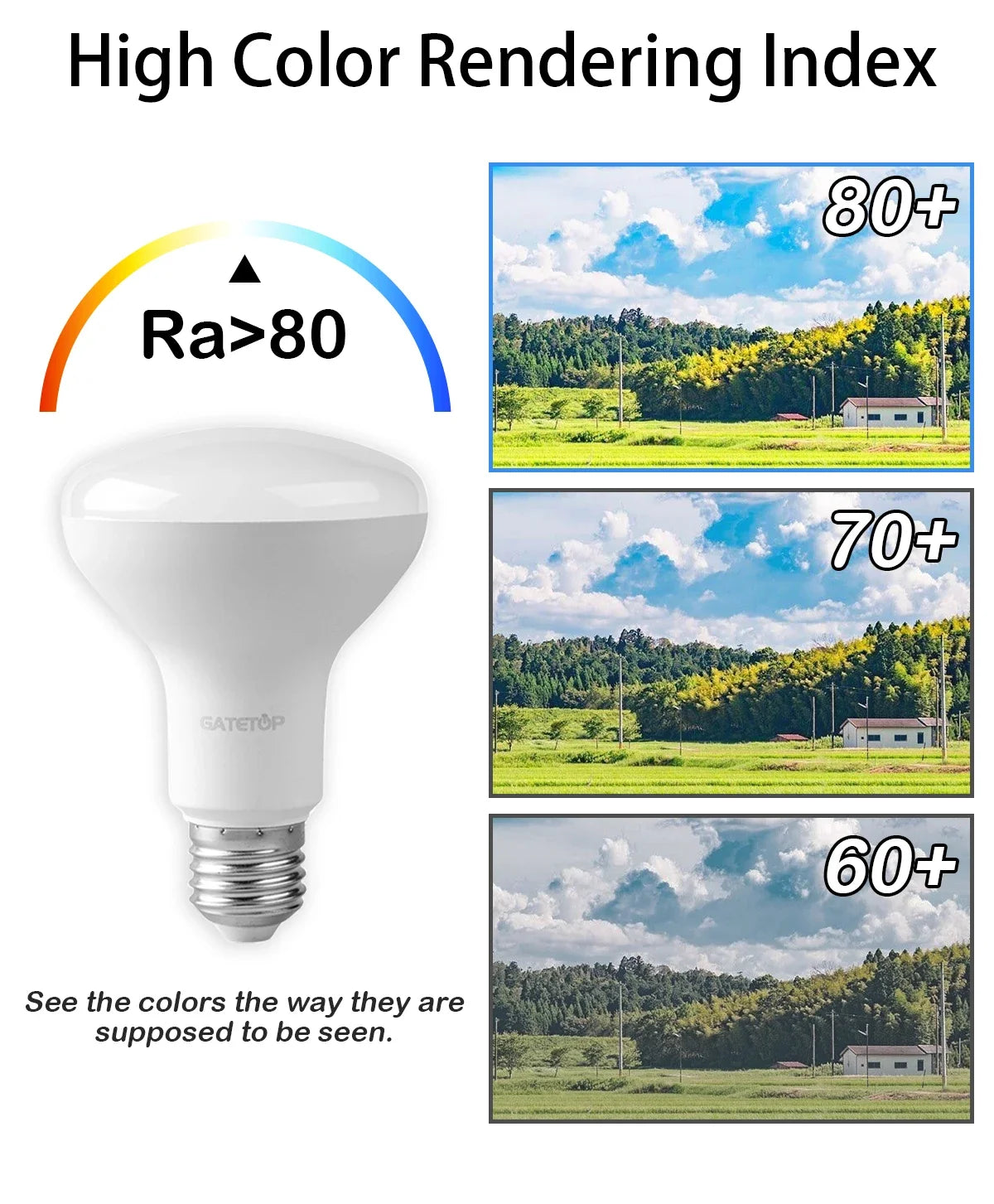 2 pezzi E27 E14 LED lampadina da bagno R50 R63 R80 220V 10W senza sfarfallio luce calda 3000K 6000K per la casa soggiorno illuminazione interna