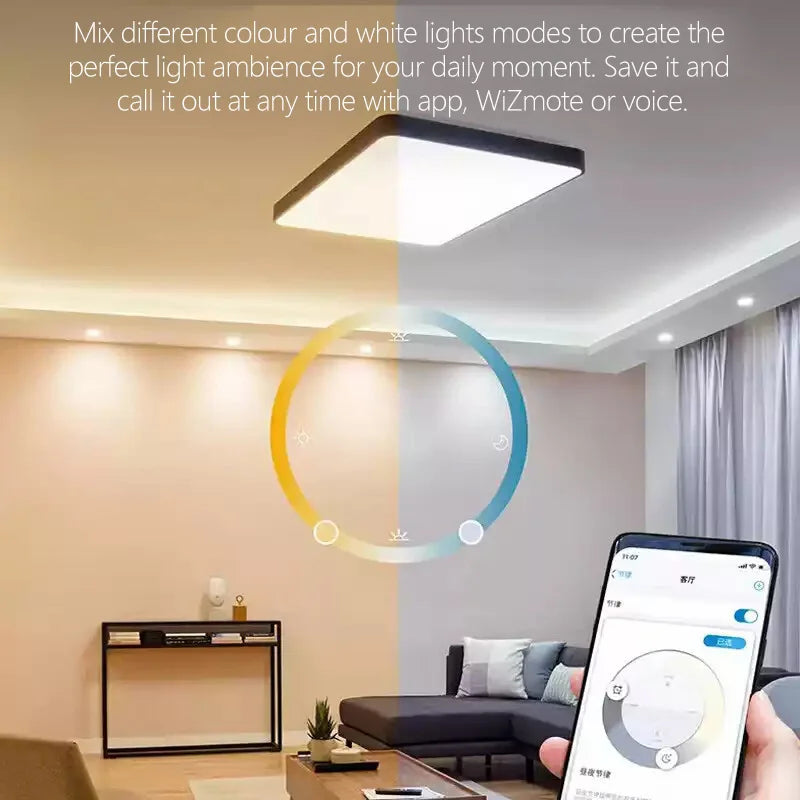 Philips 2PCS LED Smart E27 Lampadine WiZ 8.5W Wi-Fi e Bluetooth 220-240V Full Color EyeComfort Luce smerigliata dimmerabile A Lampade