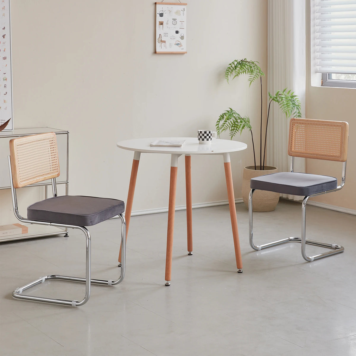 EGOONM Set di 2/4 sedie da pranzo retrò sedia in rattan di plastica casa camera da letto scrivania schienale sgabello arco computer ufficio sedile imbottito