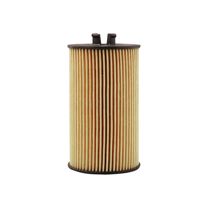Filtro dell'olio Bosch AF0310 Adatto per Buick Regal LaCrosse Encore, per Chevrolet Cruze Malibu Trax Epica Aveo【OE:93185674】