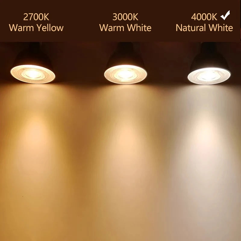 Philips MASTER LED MR16 4.9W (50W) Faretto 12V GU5.3 12V Lampada Riflettore 24 ° 36 ° Fascio angolare 2700K 3000K 4000K Bianco CRI90