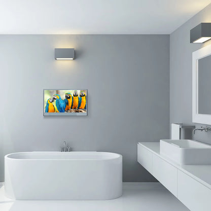 Souria 27 pollici Specchio magico TV LED impermeabile per bagno DTV Sintonizzatore WiFi Android TV Hotel Pubblicità SPA Salon US DVB-T T2 C