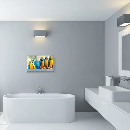 Souria 27 pollici Specchio magico TV LED impermeabile per bagno DTV Sintonizzatore WiFi Android TV Hotel Pubblicità SPA Salon US DVB-T T2 C