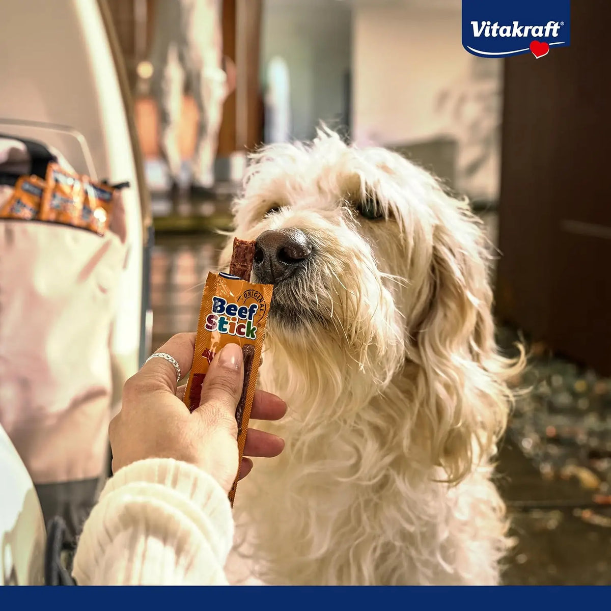 Vitakraft Bastoncini di manzo per cani (50 confezioni)