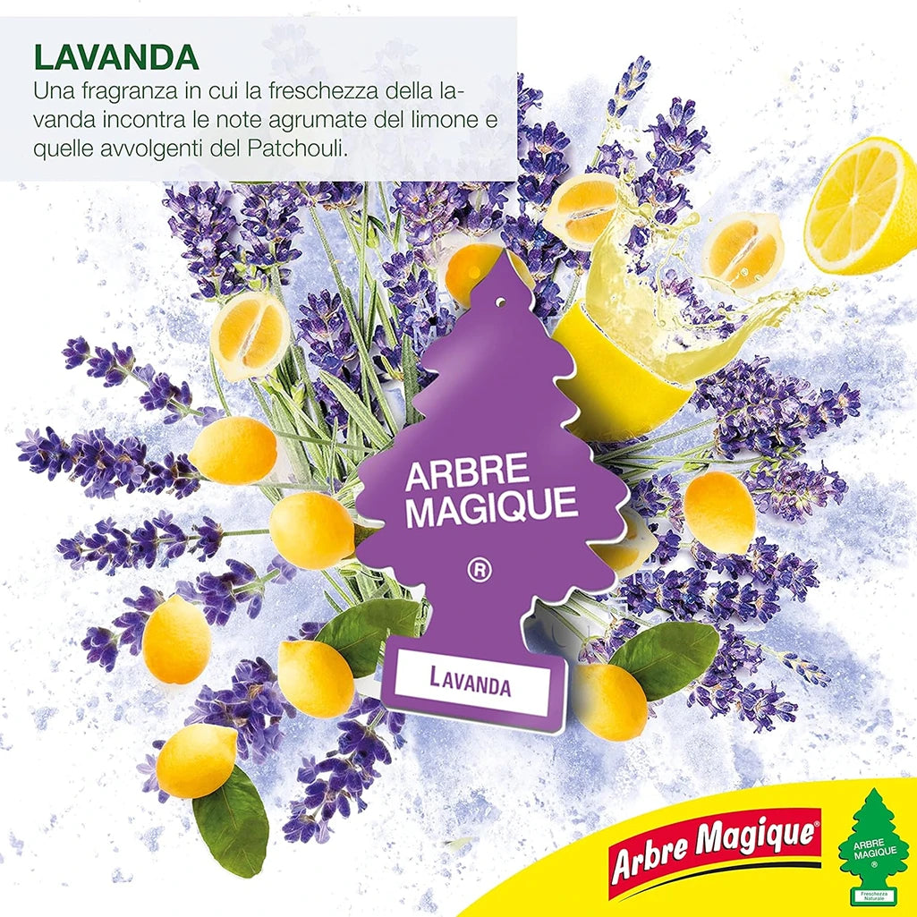 Confezione da 6, 12 o 24 Arbre Magique Lavanda, profumatori auto da appendere, fragranza fresca e versatile, formato scorta per auto, furgone, armadio e piccoli ambienti