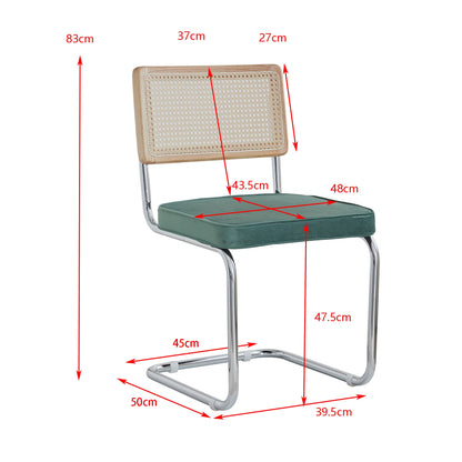 EGOONM Set di 2/4 sedie da pranzo retrò sedia in rattan di plastica casa camera da letto scrivania schienale sgabello arco computer ufficio sedile imbottito