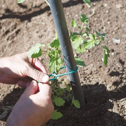 ROTOLI TUBETTO GOMITOLO PER LEGATURE ,3MM. Corda da Giardino Verde , Corda di Supporto per Piante Rampicanti, Ideale per Mais, Pomodori & Frutta - Legatura da Giardinaggio, Fascette resistenti e multifunzionali per il giardin