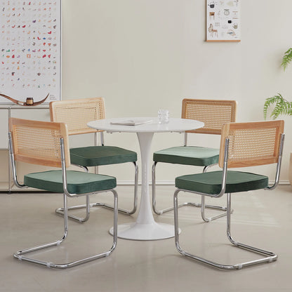 EGOONM Set di 2/4 sedie da pranzo retrò sedia in rattan di plastica casa camera da letto scrivania schienale sgabello arco computer ufficio sedile imbottito