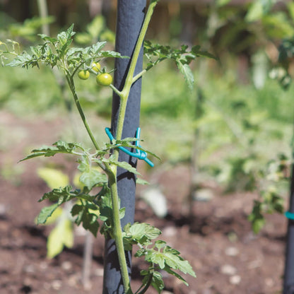 ROTOLI TUBETTO GOMITOLO PER LEGATURE ,3MM. Corda da Giardino Verde , Corda di Supporto per Piante Rampicanti, Ideale per Mais, Pomodori & Frutta - Legatura da Giardinaggio, Fascette resistenti e multifunzionali per il giardin