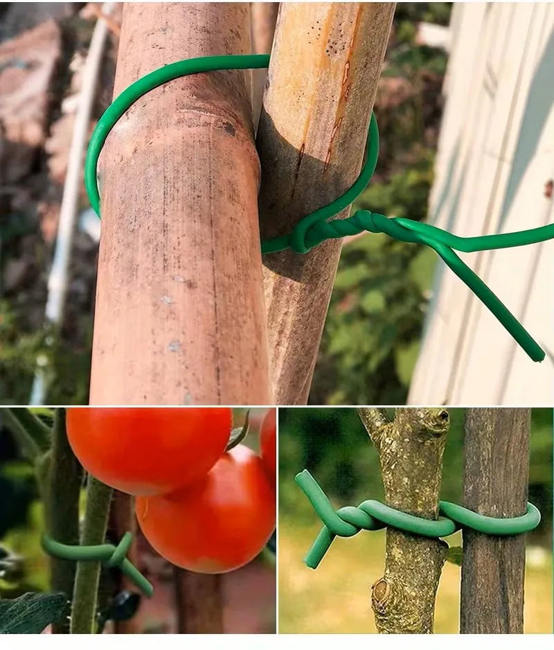 ROTOLI TUBETTO GOMITOLO PER LEGATURE ,3MM. Corda da Giardino Verde , Corda di Supporto per Piante Rampicanti, Ideale per Mais, Pomodori & Frutta - Legatura da Giardinaggio, Fascette resistenti e multifunzionali per il giardin