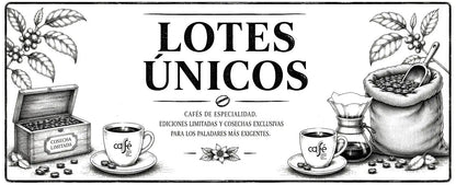 CAFFÈ SENZA INTERMEDIARI - 100% Honduras - CatraFlor - Ideale con latte o solo - Intensità di sapore media - Tostato e confezionato fresco - 1Kg o 500g Macinato per macchine da caffè multiuso