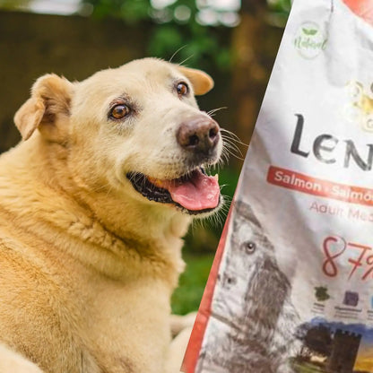 Legend Salmon – Cibo Naturale per Cani – Ricco di Salmone