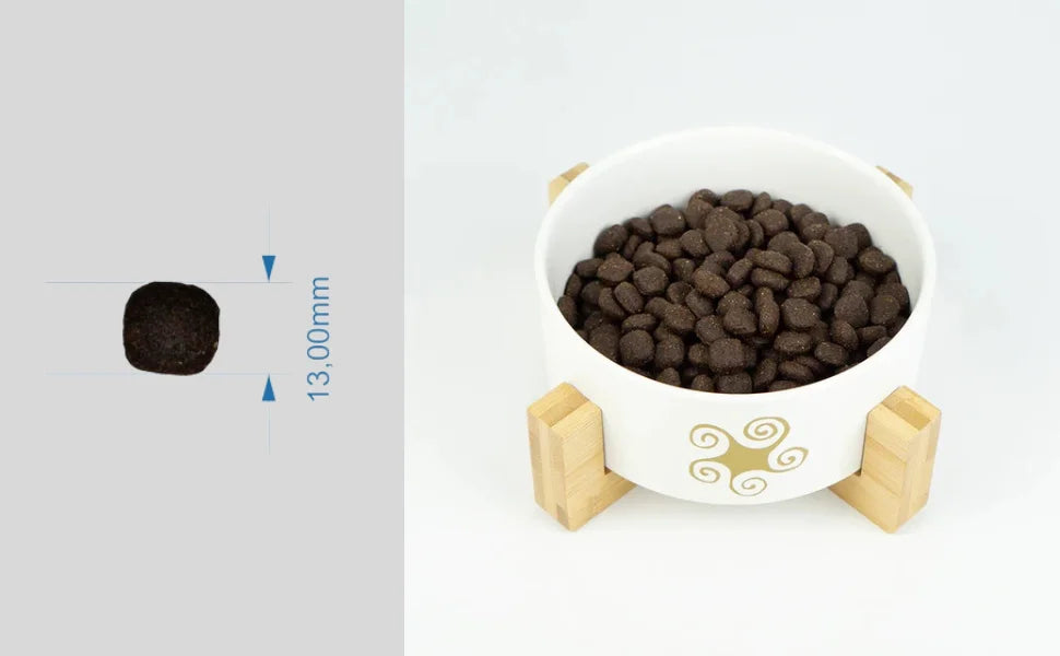 Legend Salmon – Cibo Naturale per Cani – Ricco di Salmone