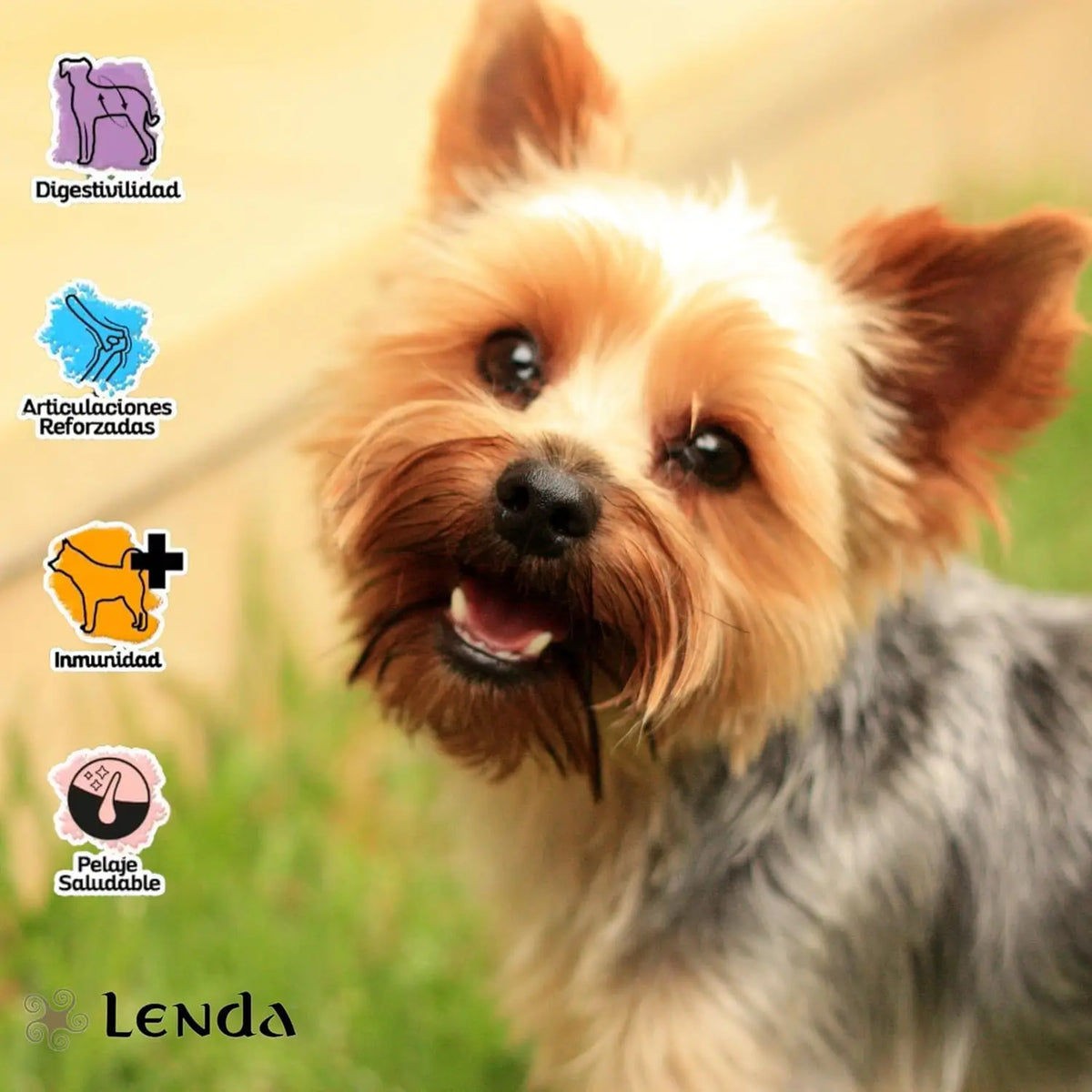 Lenda Mini Meat & Fish - Cibo Naturale per Cani Adulti Ipoallergenico