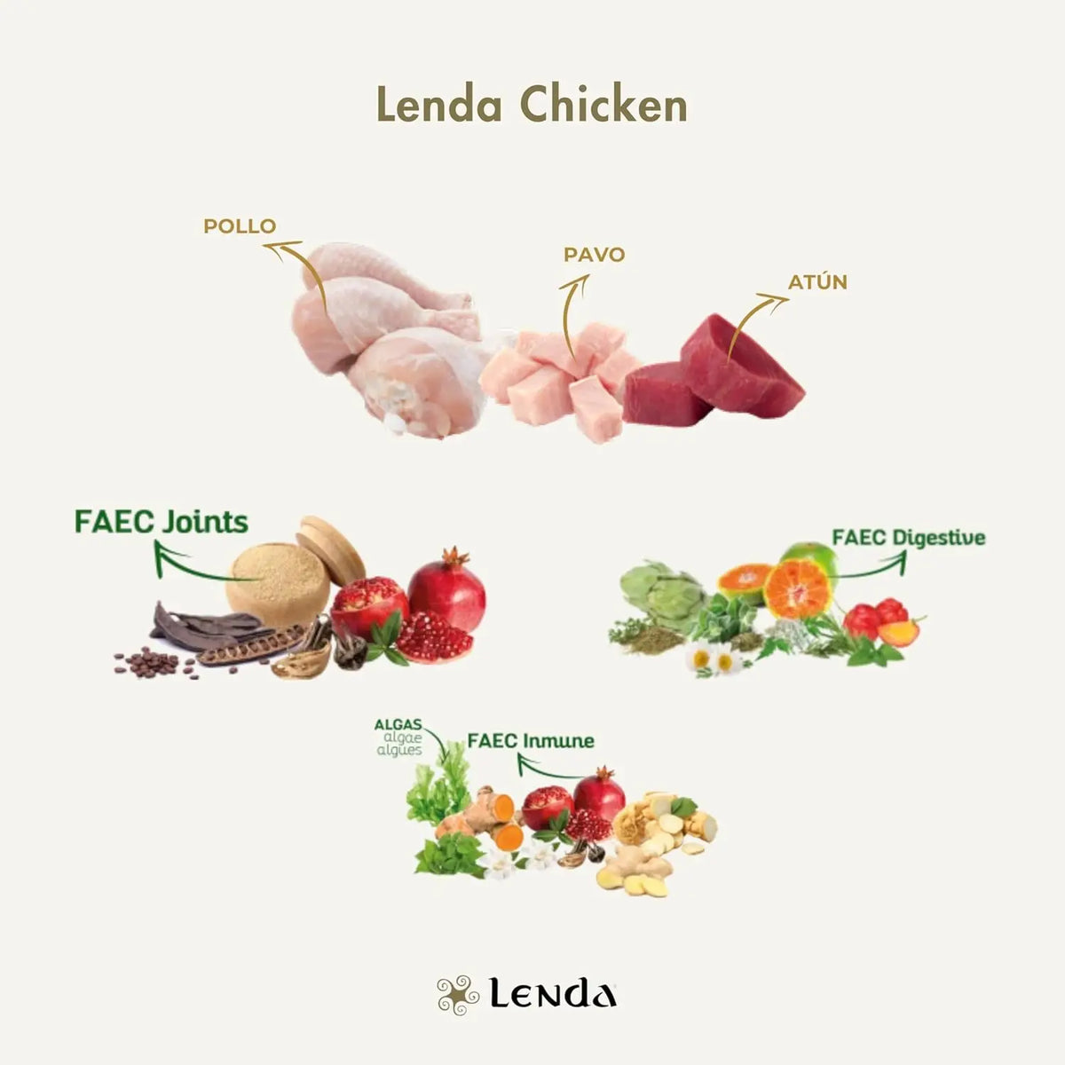 Lenda Chicken – Cibo naturale per cani – Con pollo e tacchino