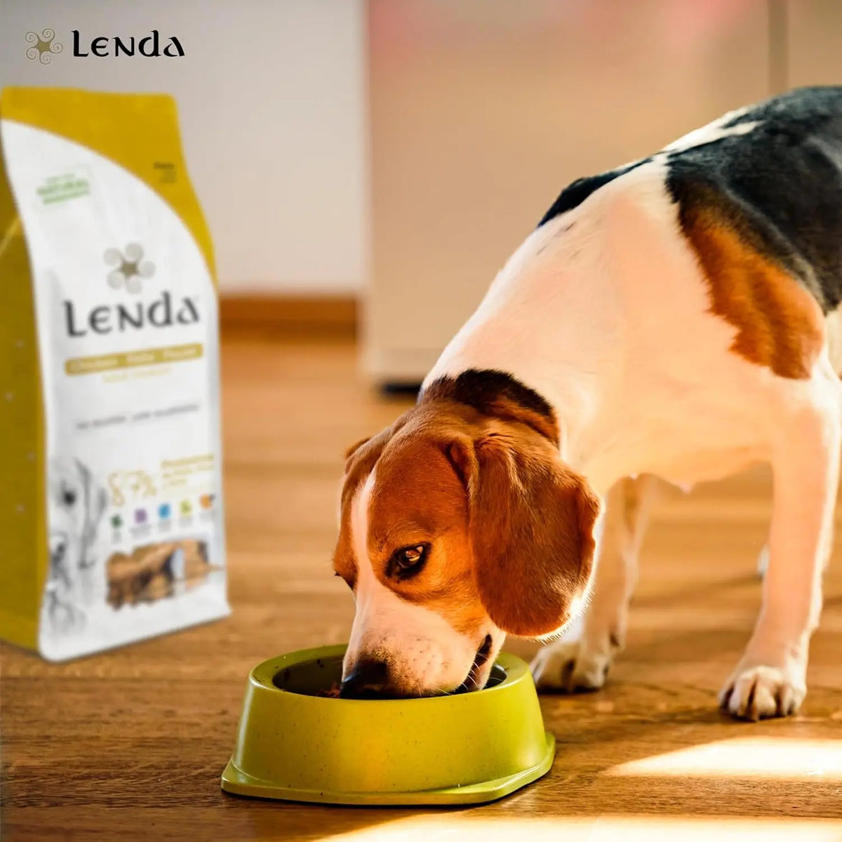 Lenda Chicken – Cibo naturale per cani – Con pollo e tacchino