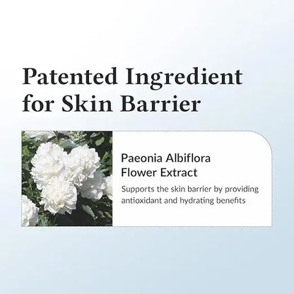 Dr. Althea 147 Barrier Cream - Crema Barriera all'Azulene con 4 Ceramidi e 7 Tipi di Acido Ialuronico