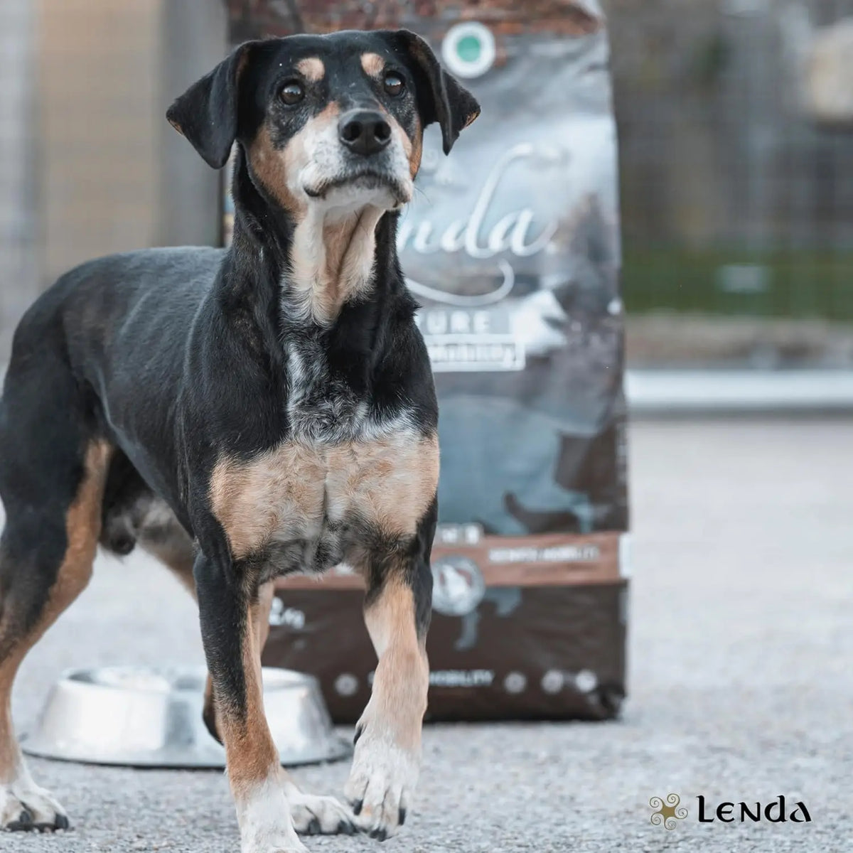 Lenda Senior Mobility - Cibo Naturale per Cani Senior - Ricco di Tacchino e Supporto per le Articolazioni