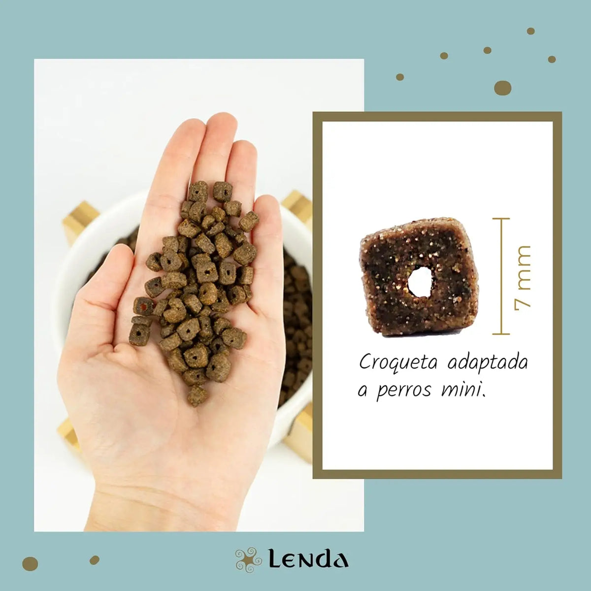 Lenda Mini Meat & Fish - Cibo Naturale per Cani Adulti Ipoallergenico