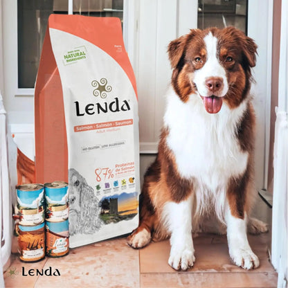 Legend Salmon – Cibo Naturale per Cani – Ricco di Salmone