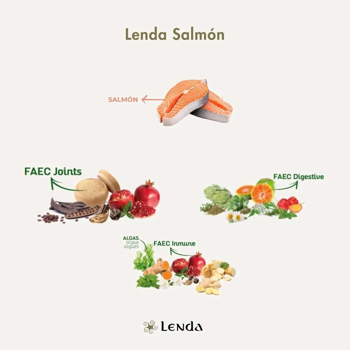 Legend Salmon – Cibo Naturale per Cani – Ricco di Salmone