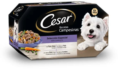 Cesar Cibo Umido per Cani Multipack Ricette Contadine in Salsa - 8x150 gr