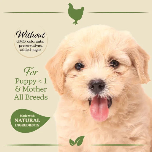 Grature Cibo per Cuccioli di Pollo (Cani, Cibo, Alimentazione) - 2,5 KG