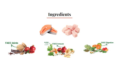 Legend Salmon – Cibo Naturale per Cani – Ricco di Salmone