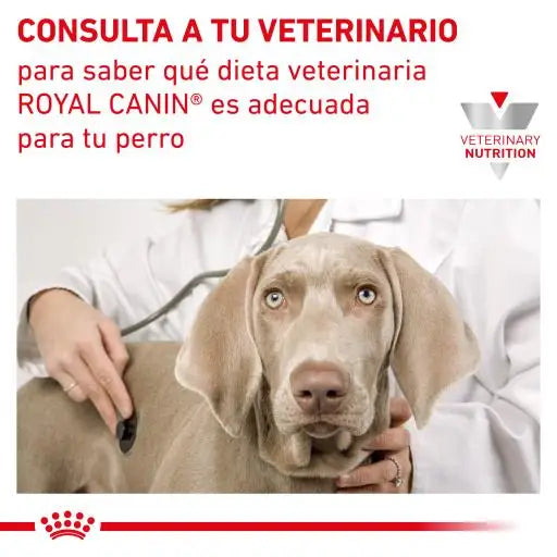 Royal Canin Gastrointestinal Food 25 per Cani - 2 KG