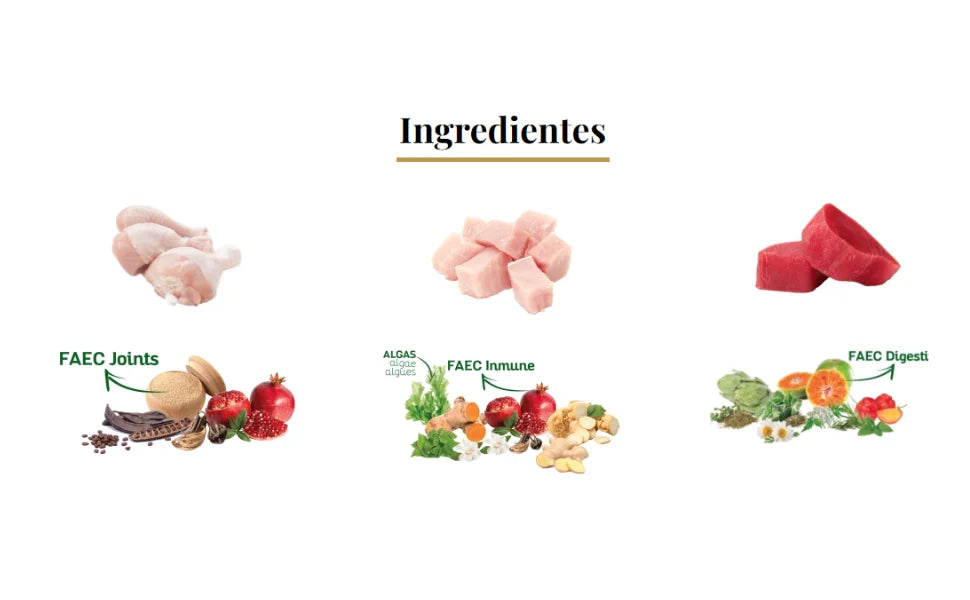 Lenda Chicken – Cibo naturale per cani – Con pollo e tacchino