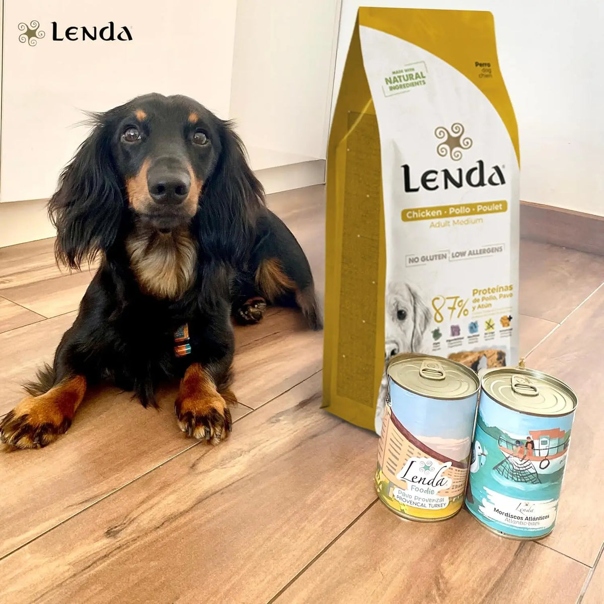 Lenda Chicken – Cibo naturale per cani – Con pollo e tacchino