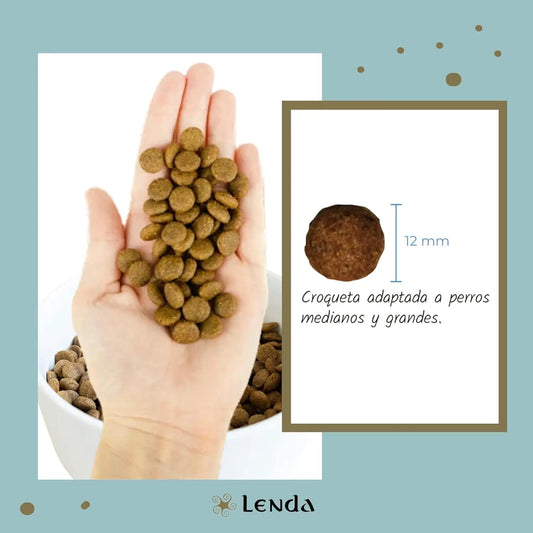 Lenda Light – Cibo per cani – A basso contenuto calorico e senza cereali