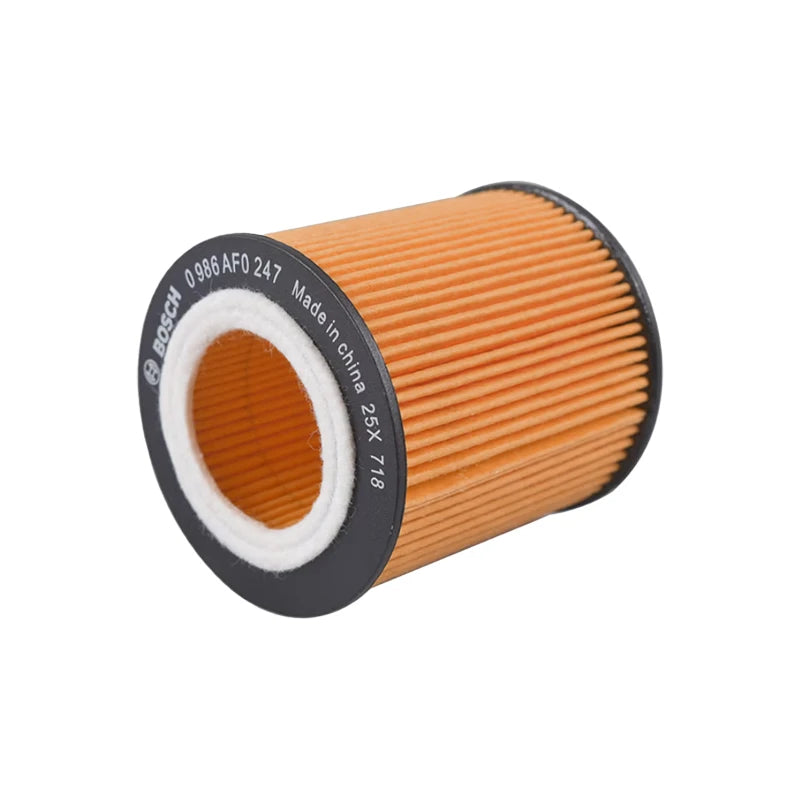 Filtro olio Bosch AF0247 per BMW X3 X6 X1 X4 X5 3Gran Turismo Z4 Roadster 3Series Z4, OEM: 11427953129, 11428683196, 11427566327