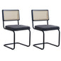 EGOONM Set di 2/4 sedie da pranzo retrò sedia in rattan di plastica casa camera da letto scrivania schienale sgabello arco computer ufficio sedile imbottito