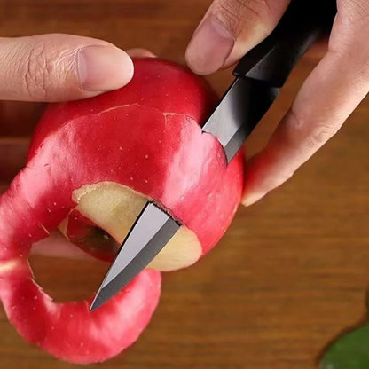 Coltello da cucina 1/3/6 Set di coltelli da cucina Coltello da frutta in acciaio inossidabile da 4 pollici con fodero Coltello da cucina a lama fissa con manico in plastica