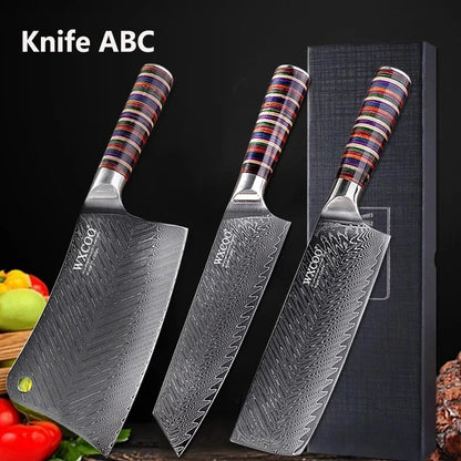 Coltelli da Cucina Professionali WXCOO in Acciaio Damascato con Scatola, Coltello Giapponese per Affettare, Coltello Domestico per Frutta e Verdura, Coltello da Disosso a 67 Strati