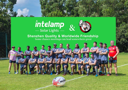 Lampade solari da parete Intelamp, confezione da 2 con telecomando,3 modalità di colore, IP65 |Illuminazione personalizzabile su/giù, lampada solare impermeabile IP65 per pareti esterne, recinzioni, patii e ingress