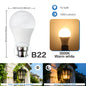 Confezione da 2 Lampadine LED Intelligenti con Sensore E27 B22, Luce Bianca dal Tramonto all'Alba, AC100-240V 1000LM 10W per Portico, Corridoio, Esterni, Garage