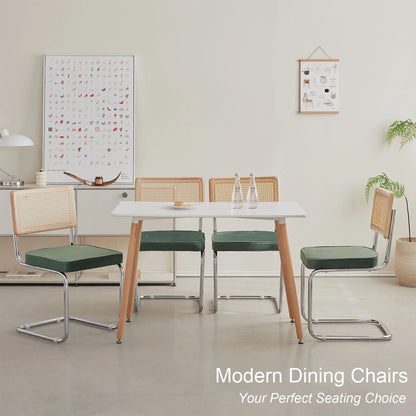 EGOONM Set di 2/4 sedie da pranzo retrò sedia in rattan di plastica casa camera da letto scrivania schienale sgabello arco computer ufficio sedile imbottito