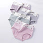 4PCS Mutandine da donna a vita alta Body Shaper Biancheria intima Mutande di cotone traspirante Plus Size M-5XL Slip dimagranti slip femminili