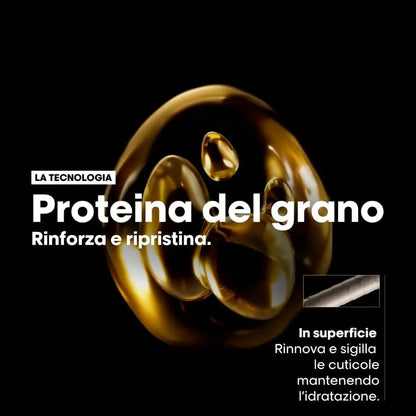 L'Oréal Professionnel Shampoo Professionale per Capelli Secchi e Danneggiati, Idratazione Istantanea e Nutrizione Profonda, Absolut Repair 500 ml / 1500 ml