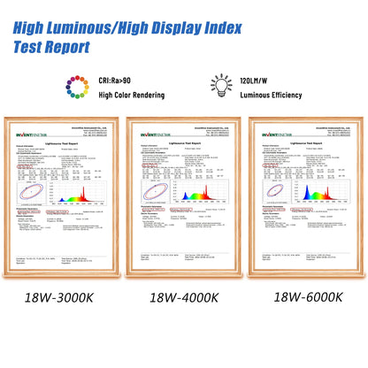 Confezione da 1-5 lampadine LED a globo G80 G95 G125 10W 12W 18W 40 Watt Lampadine LED Edison equivalenti, base E27 bianco caldo 3000K, latteo