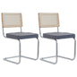 EGOONM Set di 2/4 sedie da pranzo retrò sedia in rattan di plastica casa camera da letto scrivania schienale sgabello arco computer ufficio sedile imbottito