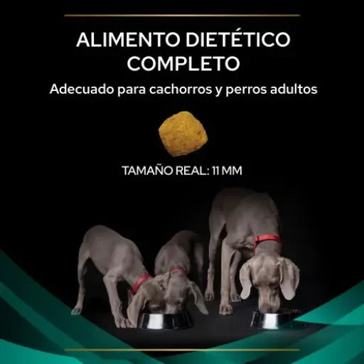 Pro Plan Veterinary Diets EN Cibo Gastrointestinale per Cani - 12 KG